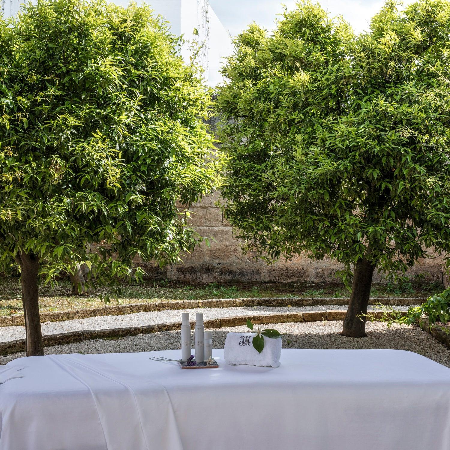A treatment table set up outdoors between two trees