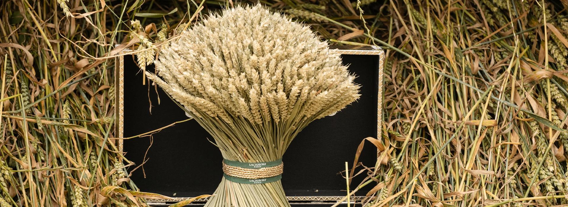 A Lachaume wheat sheaf bouquet on straw